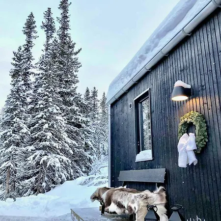 Modern Mountain In Gaustatoppen Nature Park בית נופש *