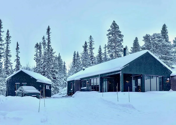 Modern Mountain In Gaustatoppen Nature Park Semesterbostad